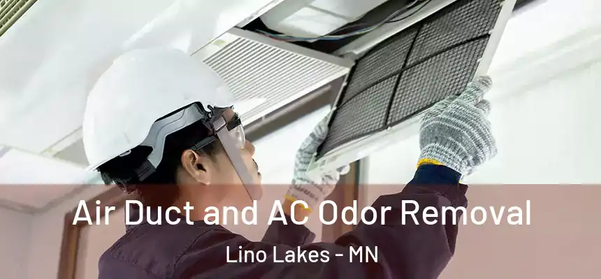  Air Duct and AC Odor Removal Lino Lakes - MN