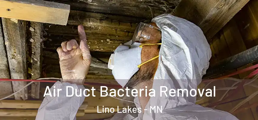  Air Duct Bacteria Removal Lino Lakes - MN