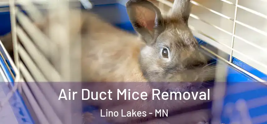 Air Duct Mice Removal Lino Lakes - MN