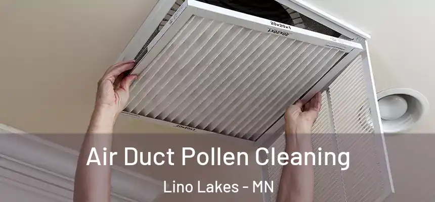  Air Duct Pollen Cleaning Lino Lakes - MN