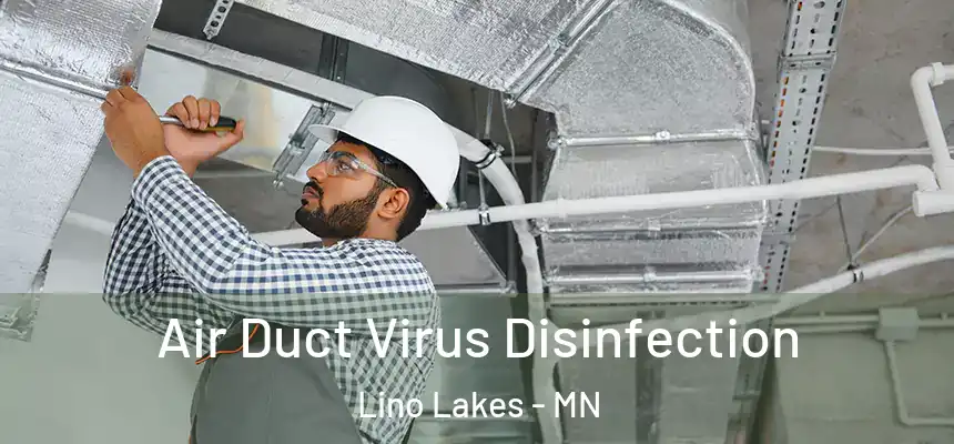  Air Duct Virus Disinfection Lino Lakes - MN