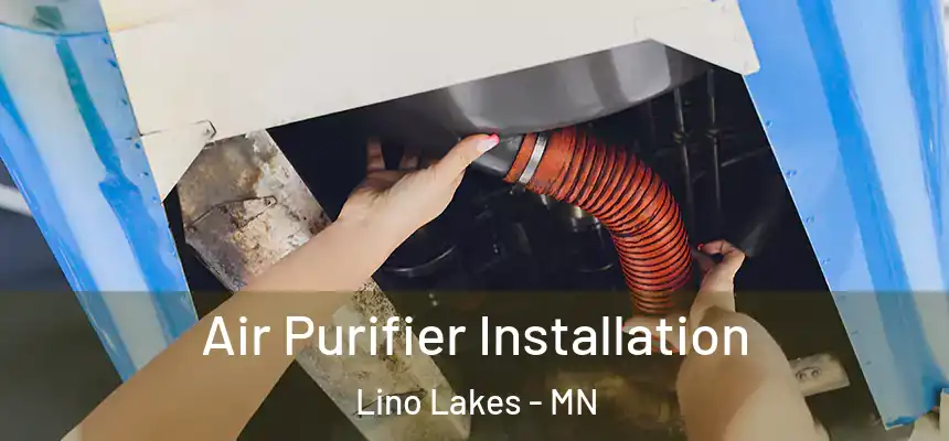  Air Purifier Installation Lino Lakes - MN