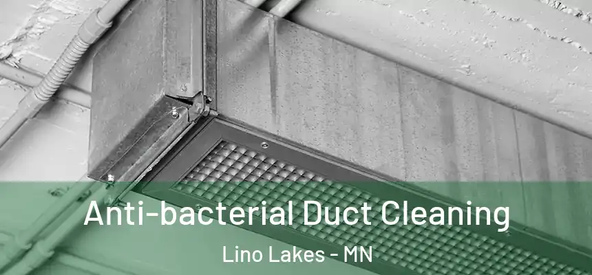  Anti-bacterial Duct Cleaning Lino Lakes - MN