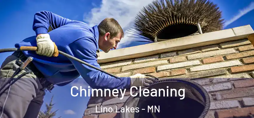  Chimney Cleaning Lino Lakes - MN