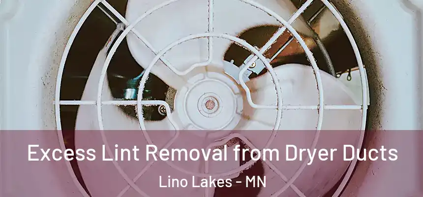 Excess Lint Removal from Dryer Ducts Lino Lakes - MN