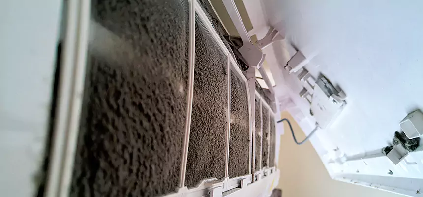 Preventive Air Duct Bacteria Removal in Lino Lakes