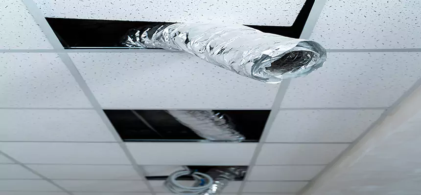 Affordable HVAC Sanitizing After Pest Removal in Lino Lakes