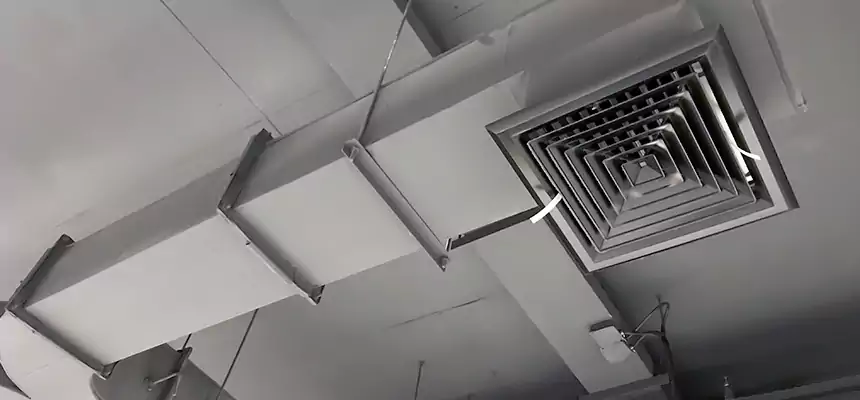 Restorative Allergy Relief Vent Cleaning – Coil, Blower & Housing Detail in Lino Lakes