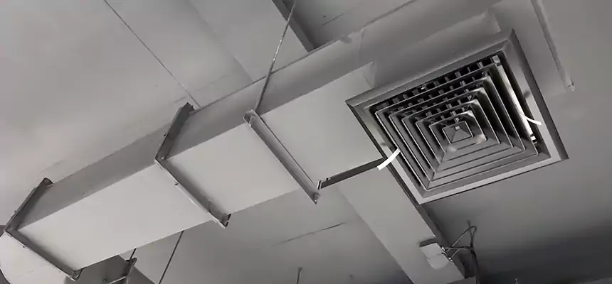 Our Pest Removal From Ducts Services in Lino Lakes, MN