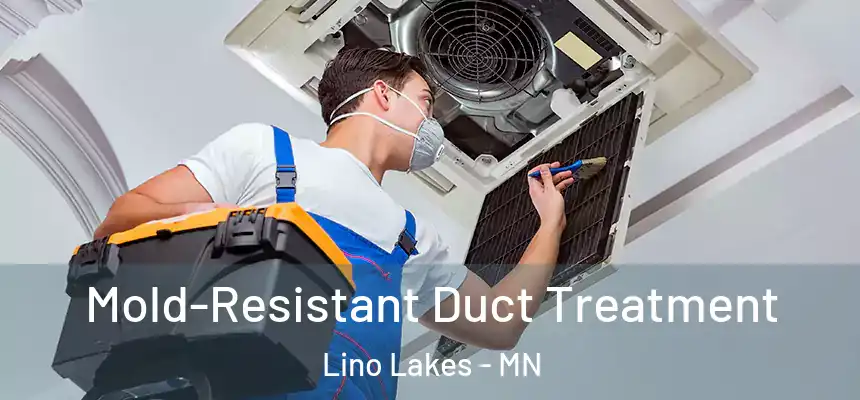  Mold-Resistant Duct Treatment Lino Lakes - MN