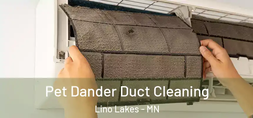  Pet Dander Duct Cleaning Lino Lakes - MN