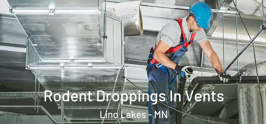  Rodent Droppings In Vents Lino Lakes - MN