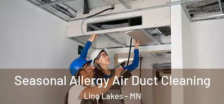  Seasonal Allergy Air Duct Cleaning Lino Lakes - MN
