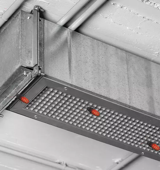 About Air Duct Cockroach Removal in Lino Lakes, MN