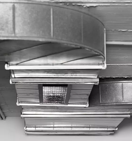 Professional Air Duct Pet Hair Removal in Lino Lakes, MN