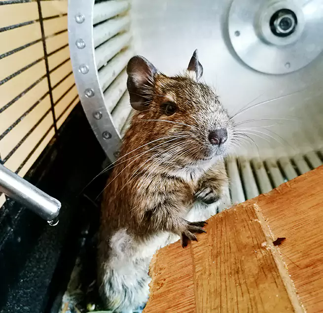 Why Homeowners & Businesses Trust Us Lino Lakes, MN