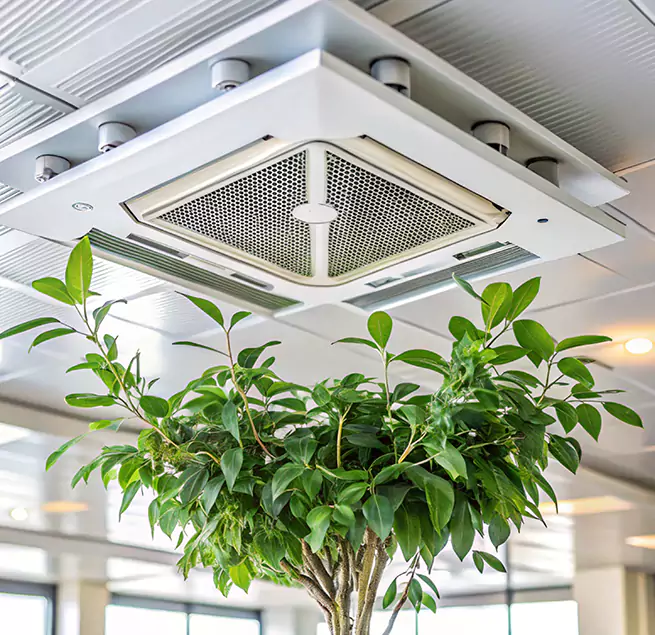 Why Homeowners & Businesses Trust Us in Lino Lakes, MN?