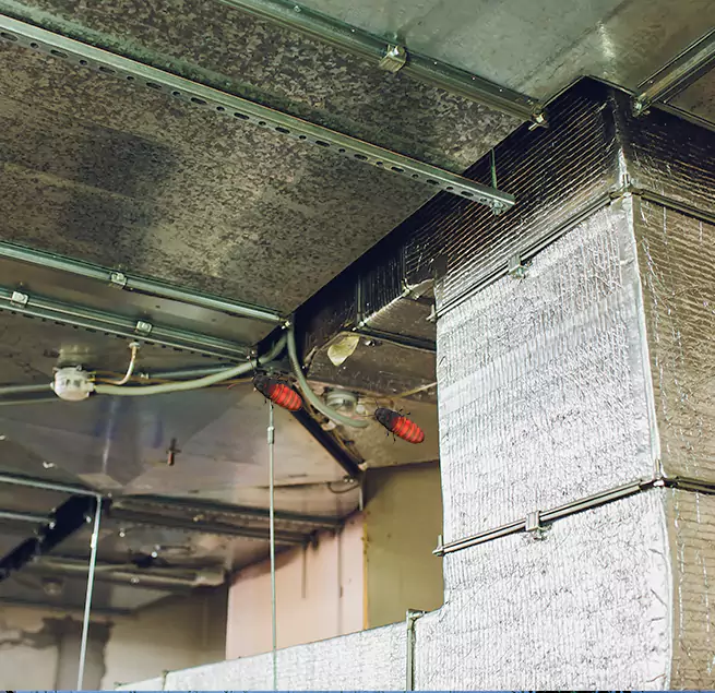 Why Homeowners & Businesses Trust Us Lino Lakes, MN?